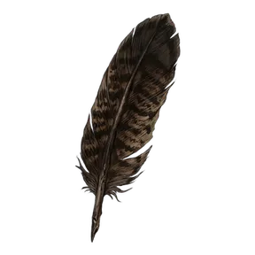 Falcon Pinion, an item in Vireldan Idle
