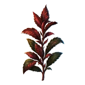 Redleaf, an item in Vireldan Idle