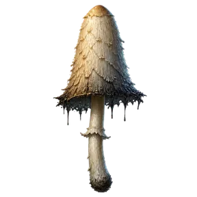 Ink Cap, an item in Vireldan Idle
